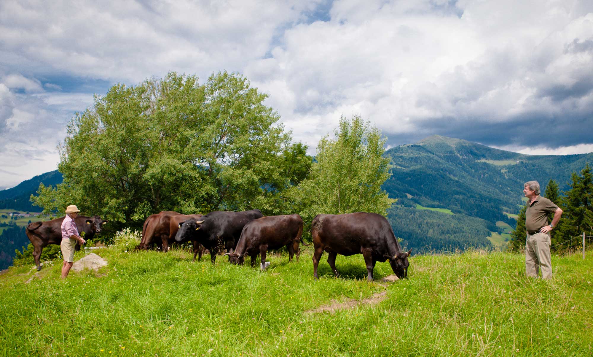 Herde-Eigentuemer